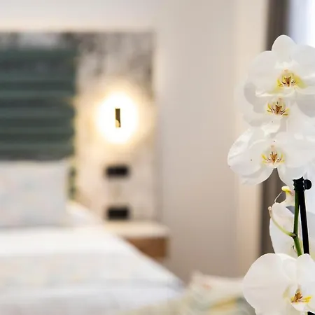 Laguna & * لا لاغونا