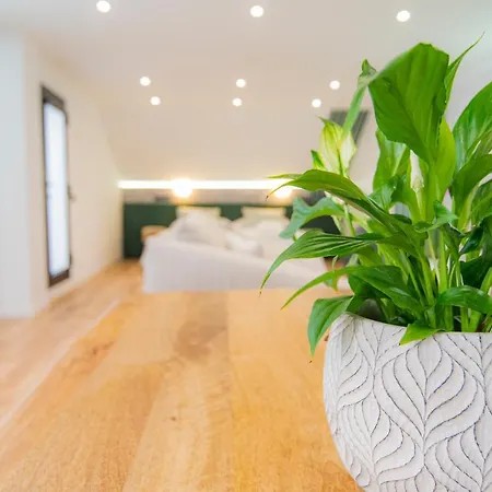 Apartment Laguna &