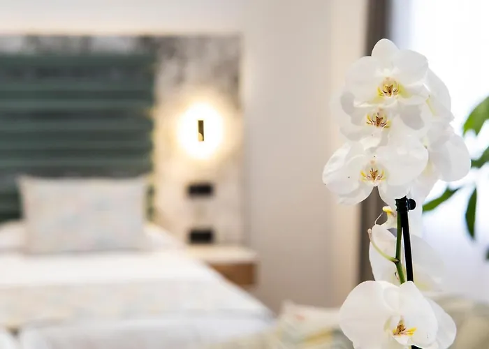 Laguna & * サン・クリストバル・デ・ラ・ラグーナ