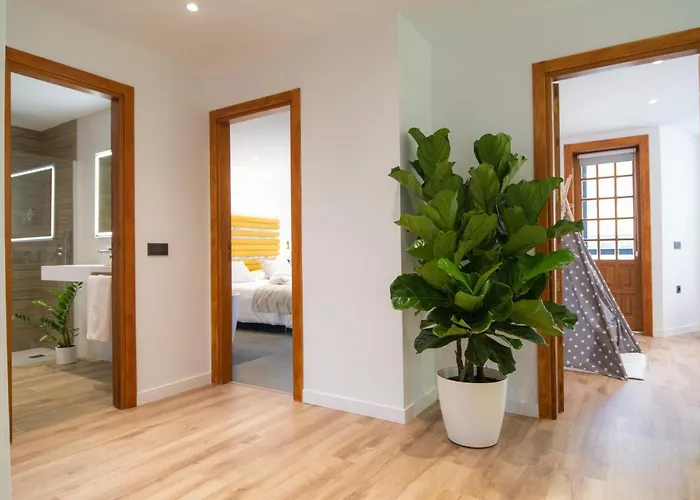 Laguna & サン・クリストバル・デ・ラ・ラグーナ