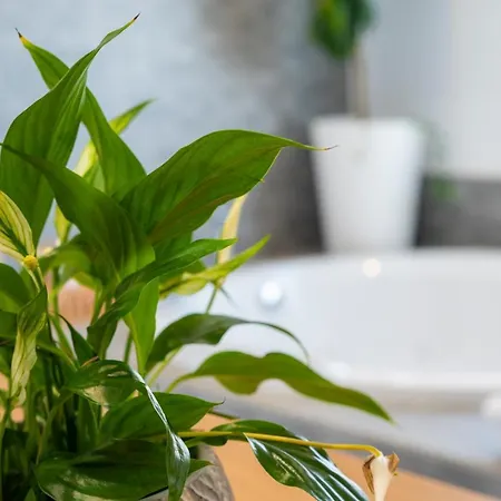 Апартаменты Laguna &