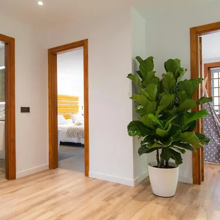 Laguna & Сан-Кристобаль-де-Ла-Лагуна