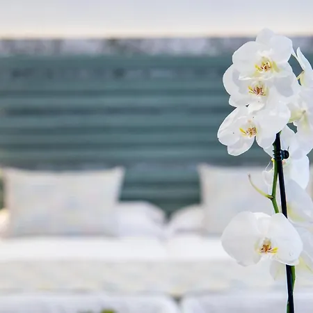 Апартаменты Laguna &